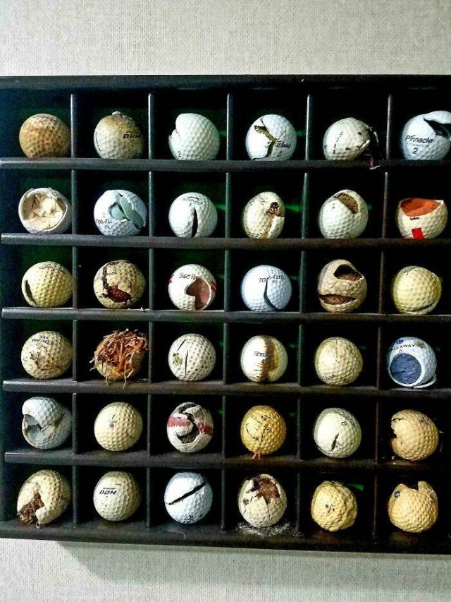 People Show Off Their Collections (49 pics)