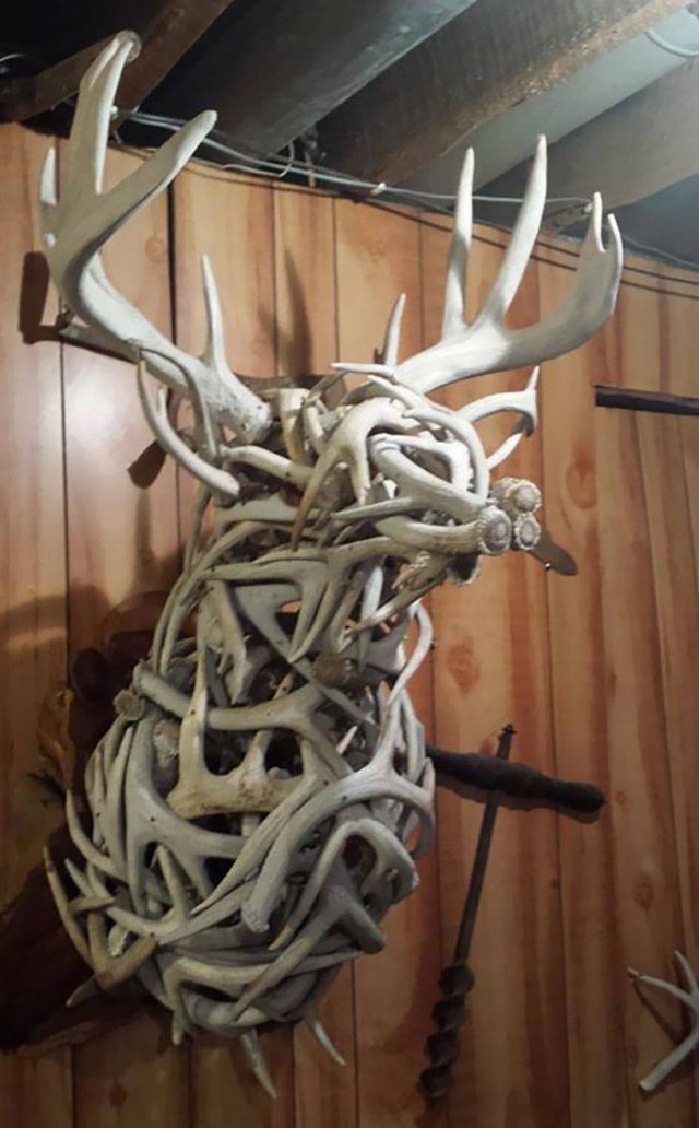 People Show Off Their Collections (49 pics)