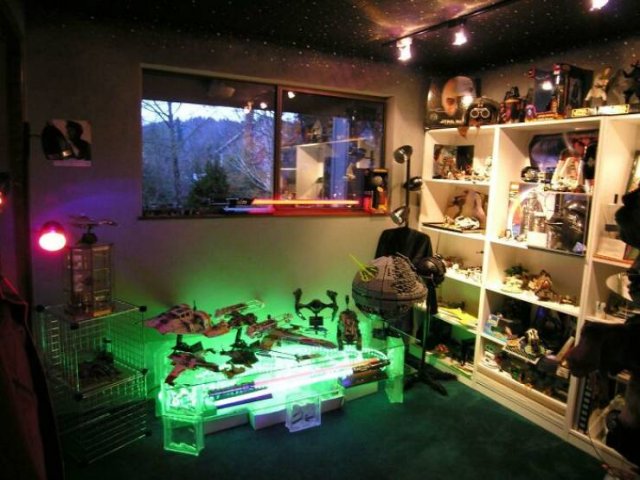 People Show Off Their Collections (49 pics)