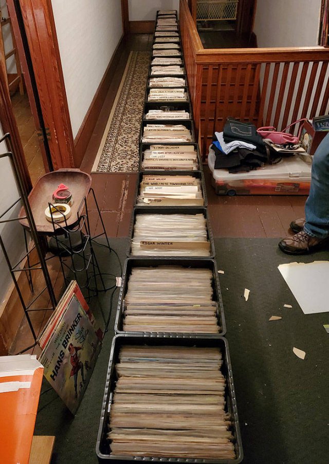 People Show Off Their Collections (49 pics)