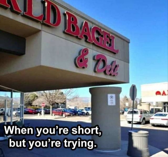 Random Funny Memes (76 pics)