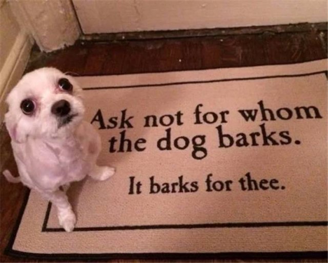 Humor About Dogs (34 pics)