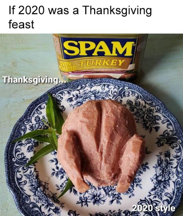 Thanksgiving Memes (33 pics)