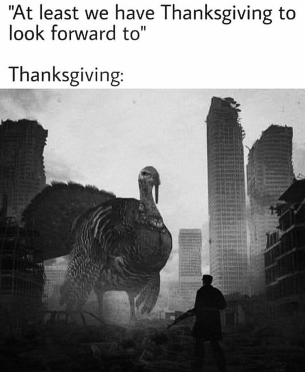 Thanksgiving Memes (33 pics)