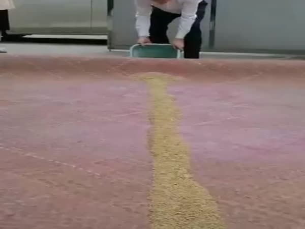 Interesting Way To Remove The Dirt From The Carpet