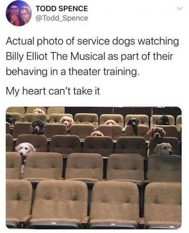 Wholesome Stories (37 pics)