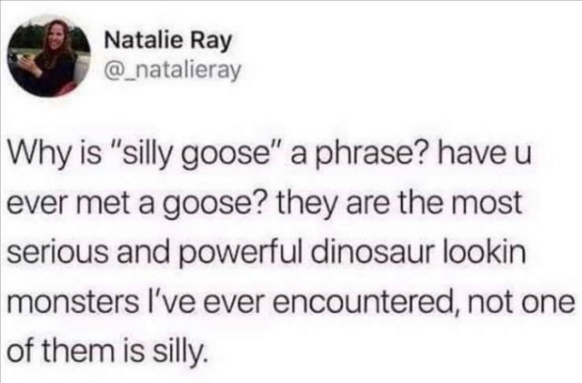Funny Tweets (22 pics)