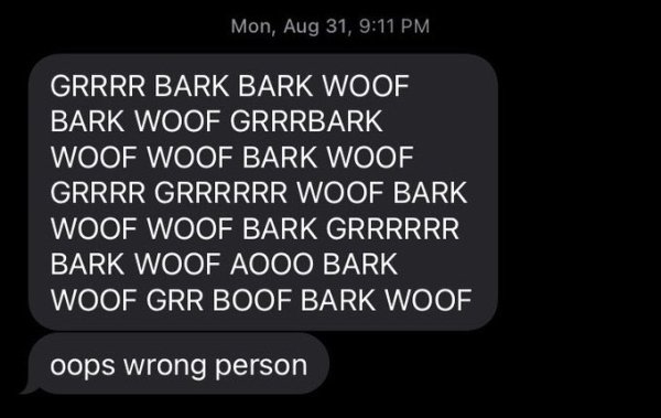 Insane Messages (29 pics)