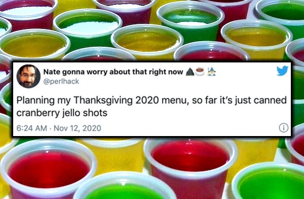 Thanksgiving 2020 Tweets (28 pics)