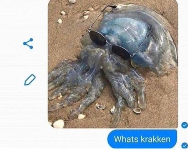 Insane Messages (29 pics)
