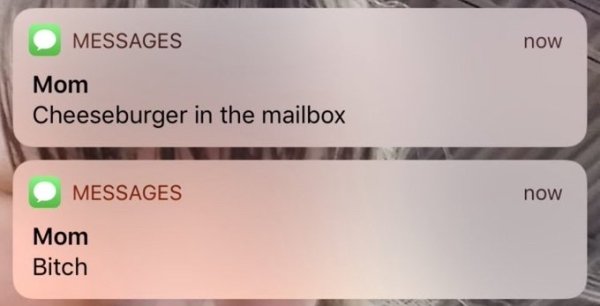 Insane Messages (29 pics)