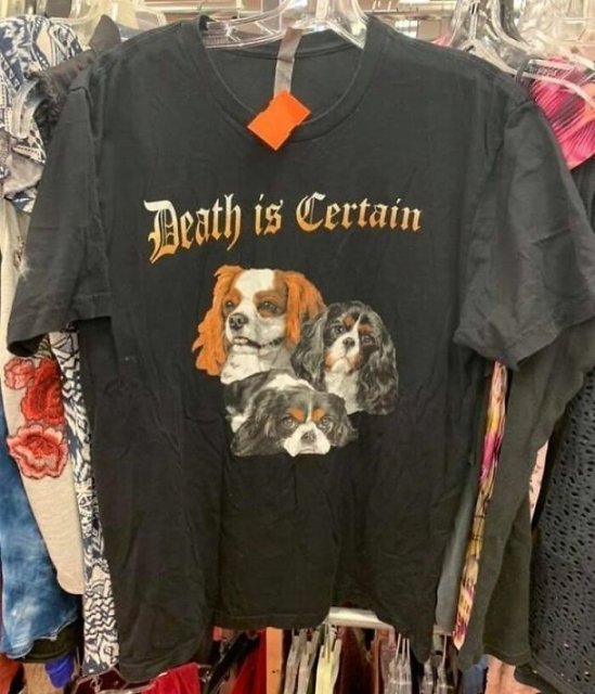 Thrift Shop Treasures (34 pics)