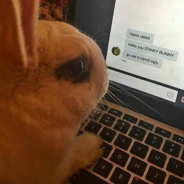 Insane Messages (29 pics)