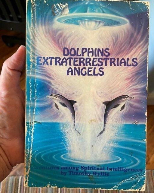 Thrift Shop Treasures (34 pics)