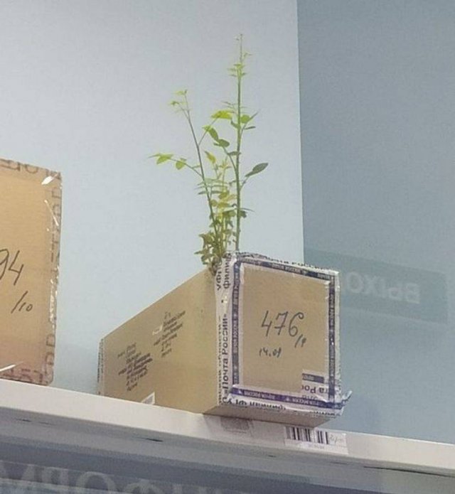 Delivery Fails (17 pics)