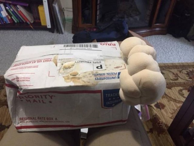 Delivery Fails (17 pics)
