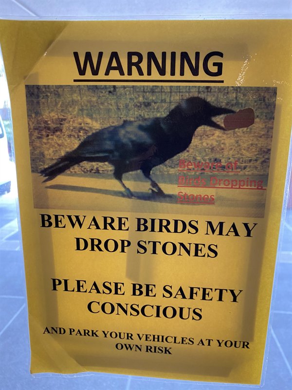 It May Happen Only In Australia (18 pics)