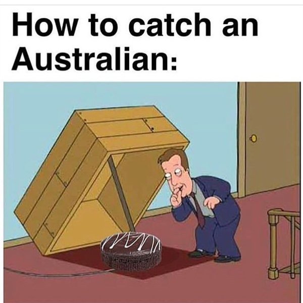 It May Happen Only In Australia (18 pics)