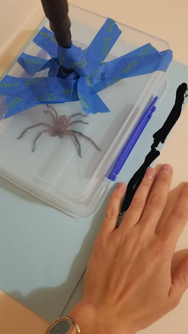 It May Happen Only In Australia (18 pics)