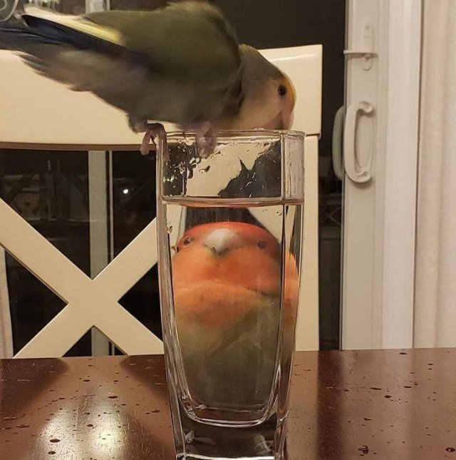 Right Moment (15 pics)