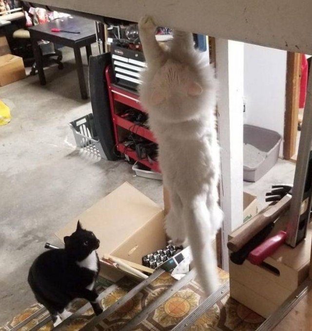 Right Moment (15 pics)