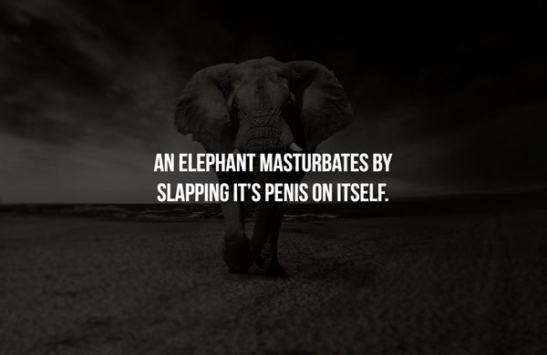 Scary Facts (16 pics)