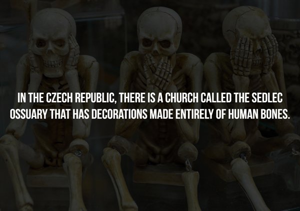 Scary Facts (16 pics)