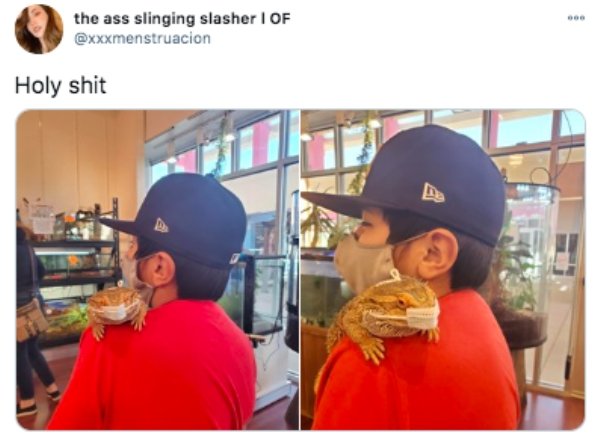 Internet Humor (37 pics)