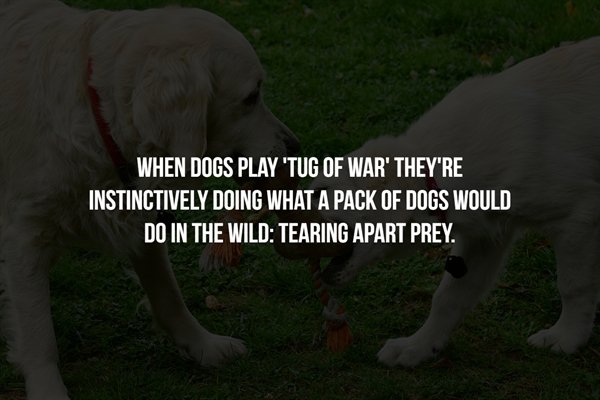 Scary Facts (16 pics)