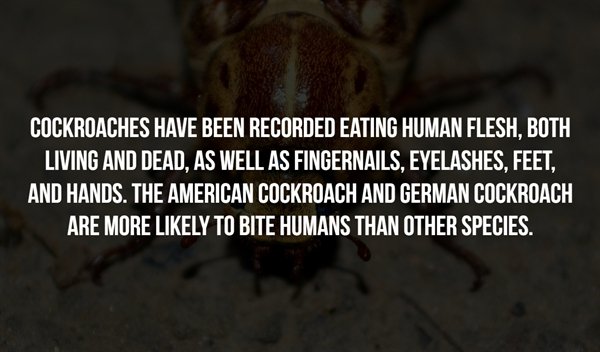 Scary Facts (16 pics)