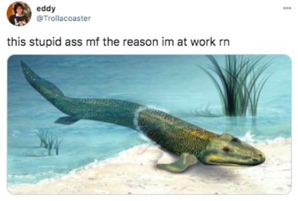 Internet Humor (37 pics)