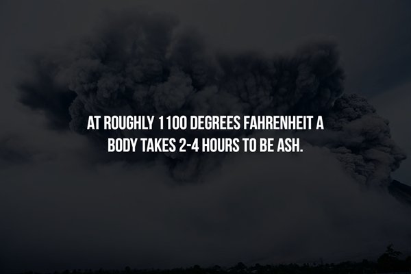 Scary Facts (16 pics)