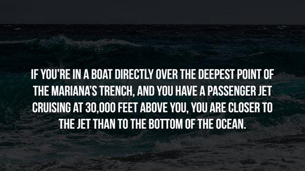 Scary Facts (16 pics)