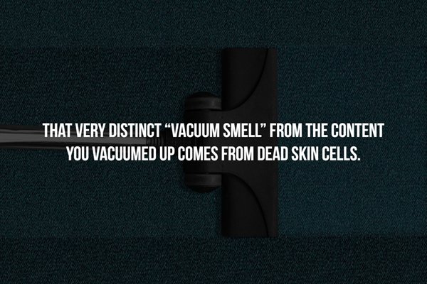 Scary Facts (16 pics)