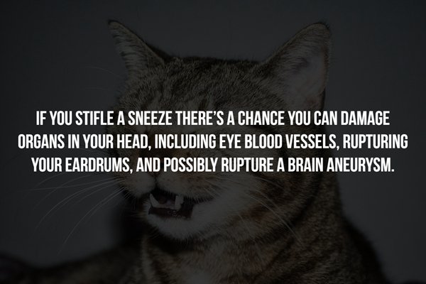 Scary Facts (16 pics)