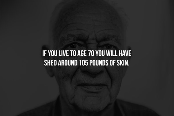 Scary Facts (16 pics)