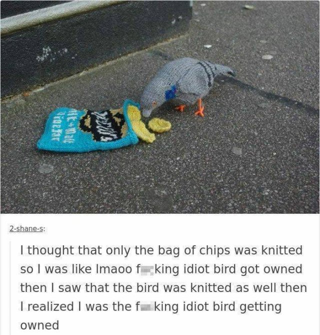 They Did Their Best (40 pics)