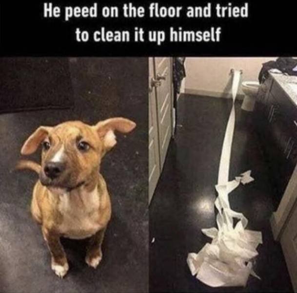 They Did Their Best (40 pics)