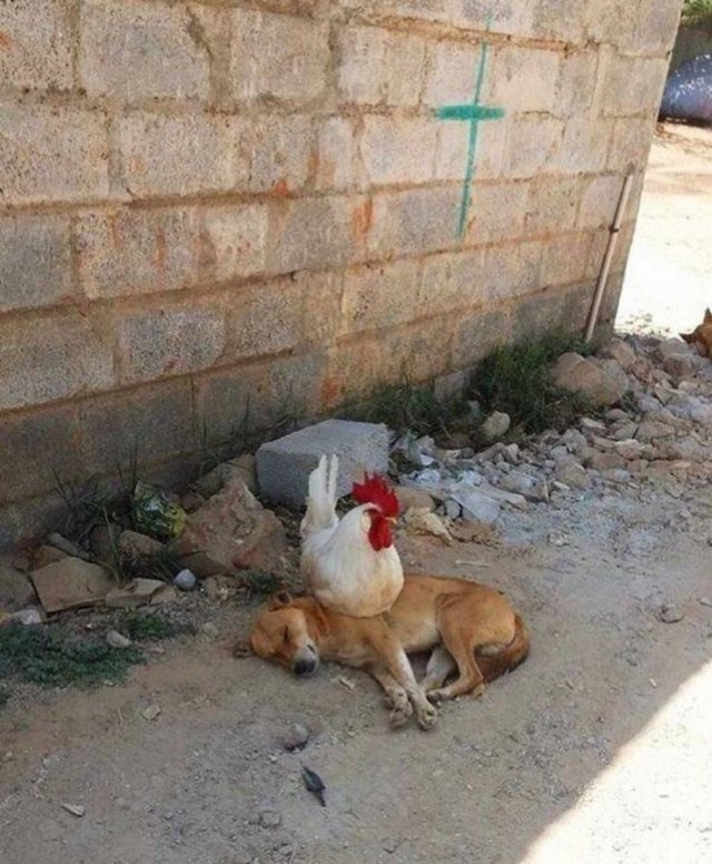 Acid Picdump. Part 2 (96 pics)
