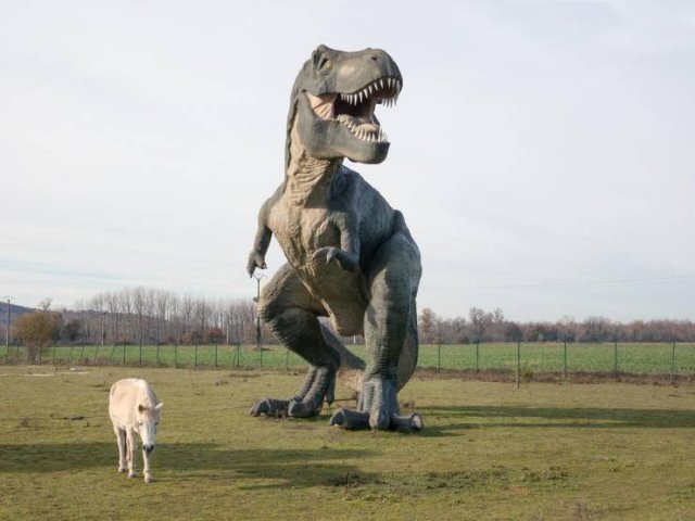 Acid Picdump. Part 2 (96 pics)