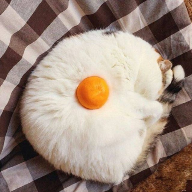 Acid Picdump. Part 2 (96 pics)