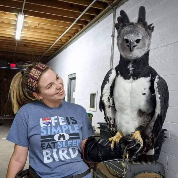 Acid Picdump. Part 2 (96 pics)