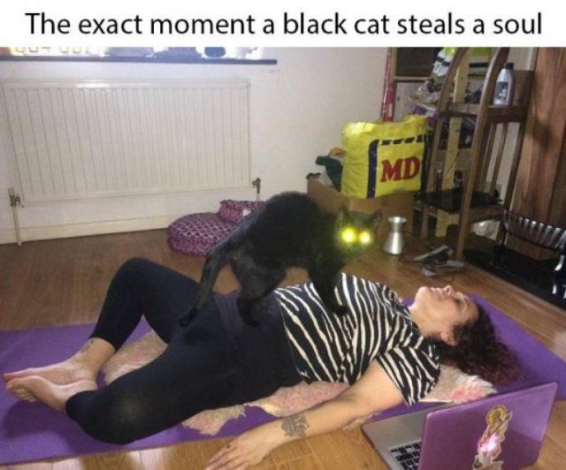 Acid Picdump. Part 2 (96 pics)