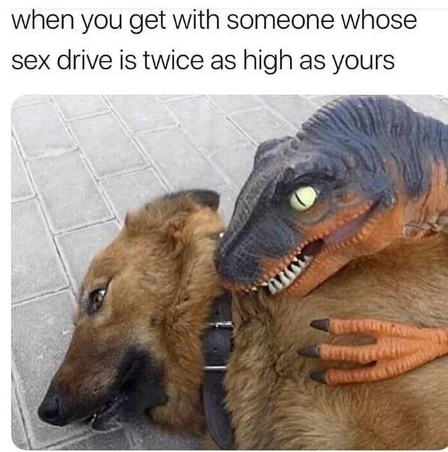 Acid Picdump. Part 2 (96 pics)