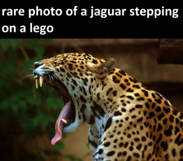 Acid Picdump. Part 2 (96 pics)