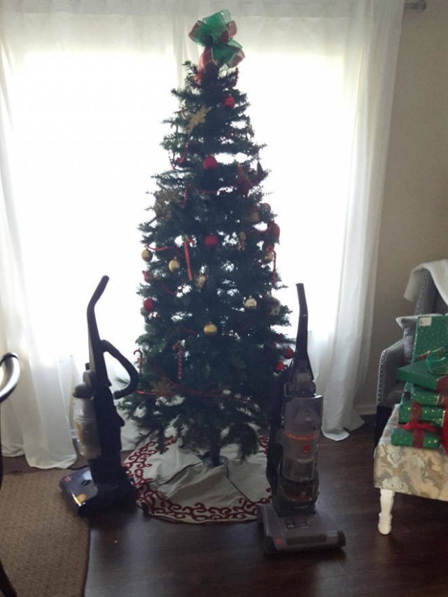 Christmas Trees And Pets (22 pics)