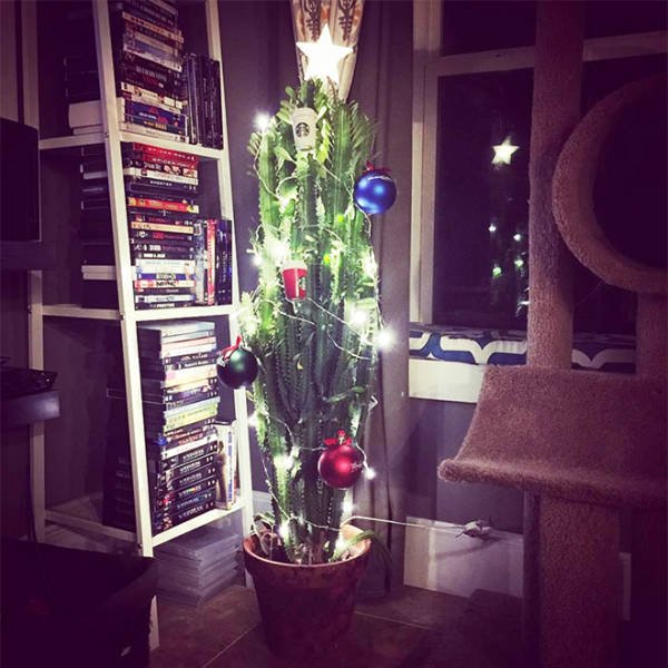 Christmas Trees And Pets (22 pics)