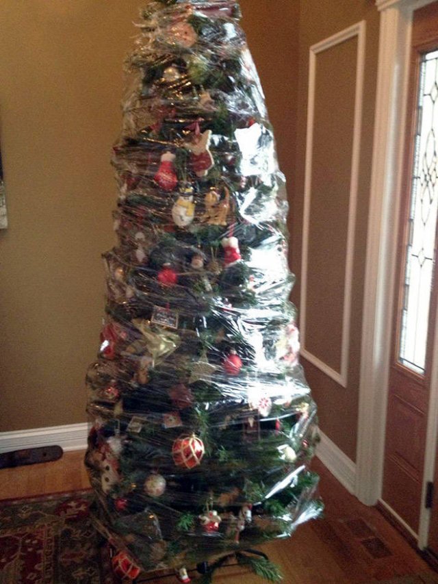 Christmas Trees And Pets (22 pics)