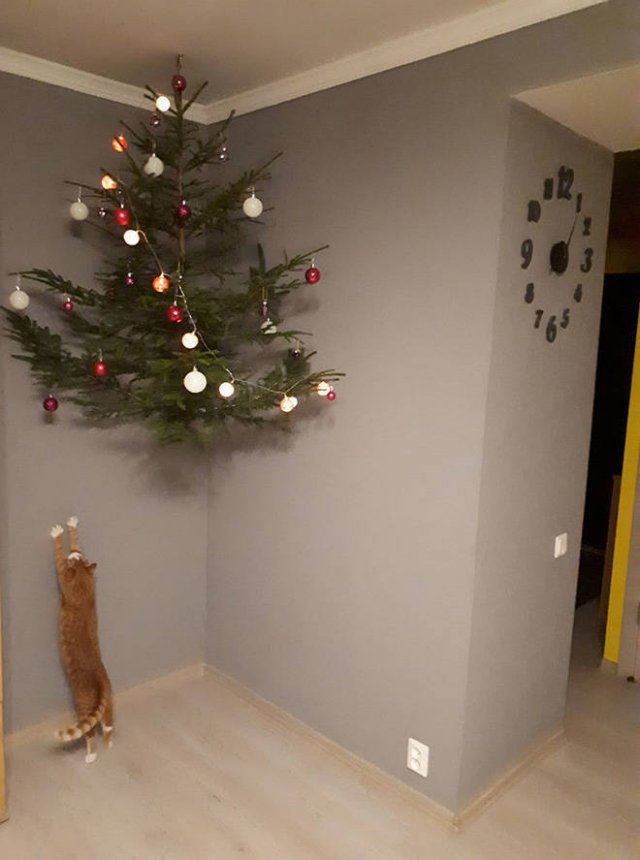 Christmas Trees And Pets (22 pics)