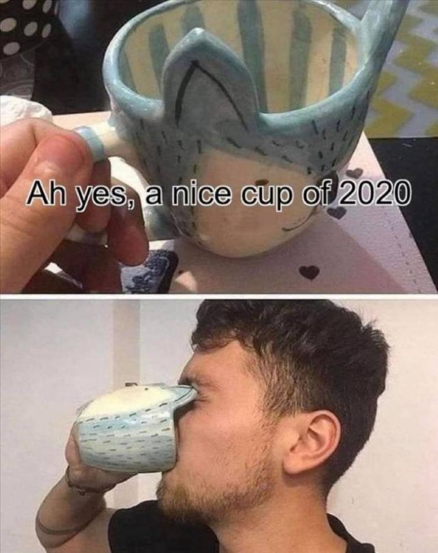 Random Funny Memes (179 pics)